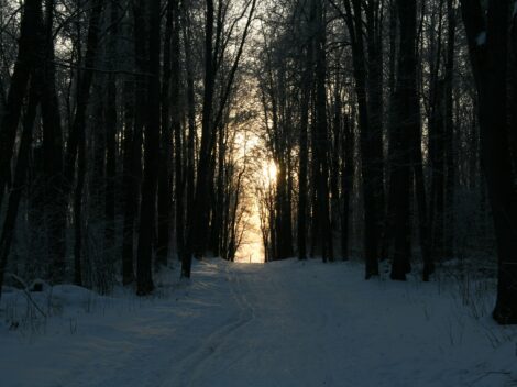 o której robi się ciemno