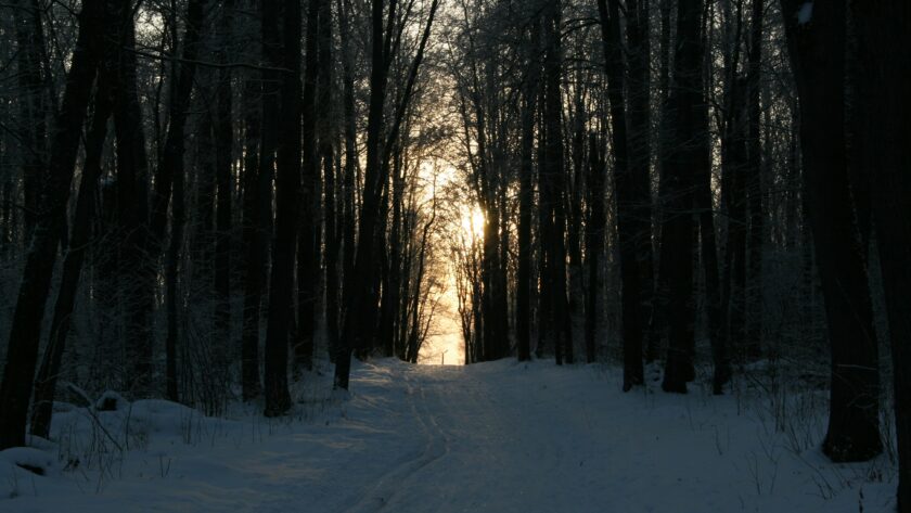 o której robi się ciemno
