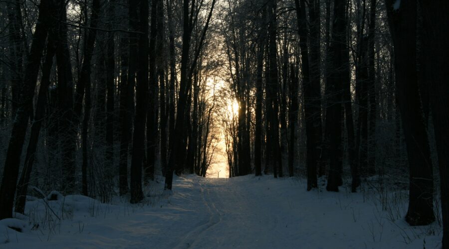 o której robi się ciemno