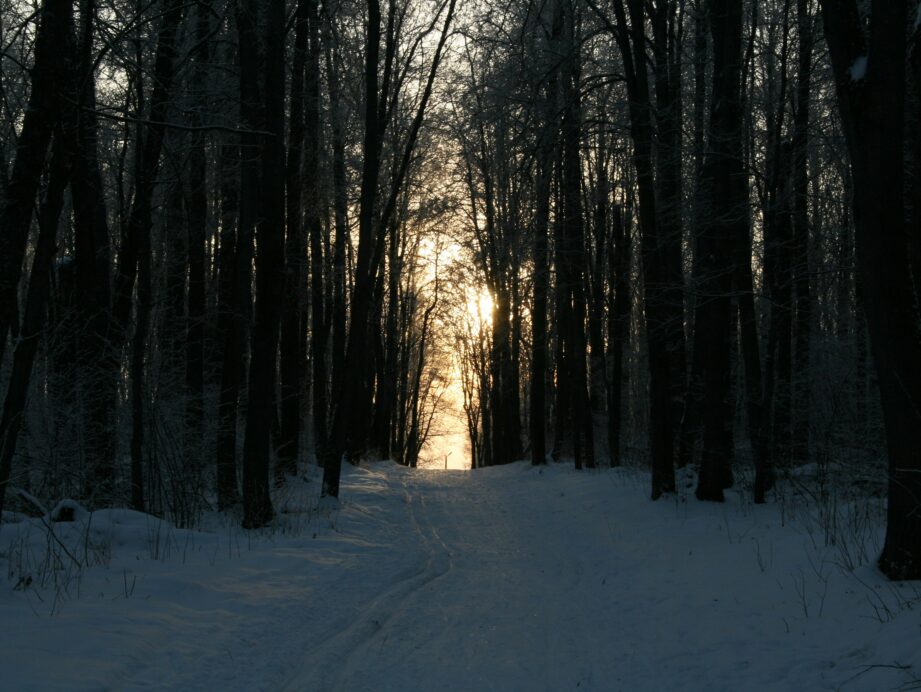 o której robi się ciemno